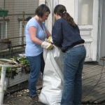 Entrümpelung der Dachterrasse
